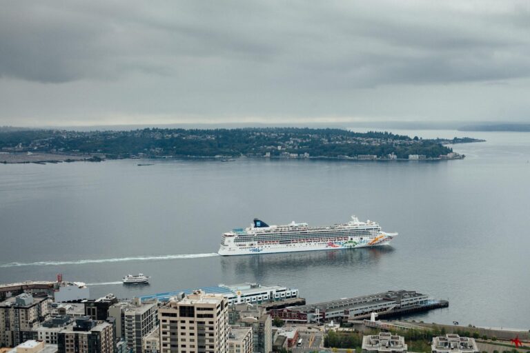 Paquebot de croisière naviguant dans la baie de Seattle avec vue sur le front de mer et les collines en arrière-plan
