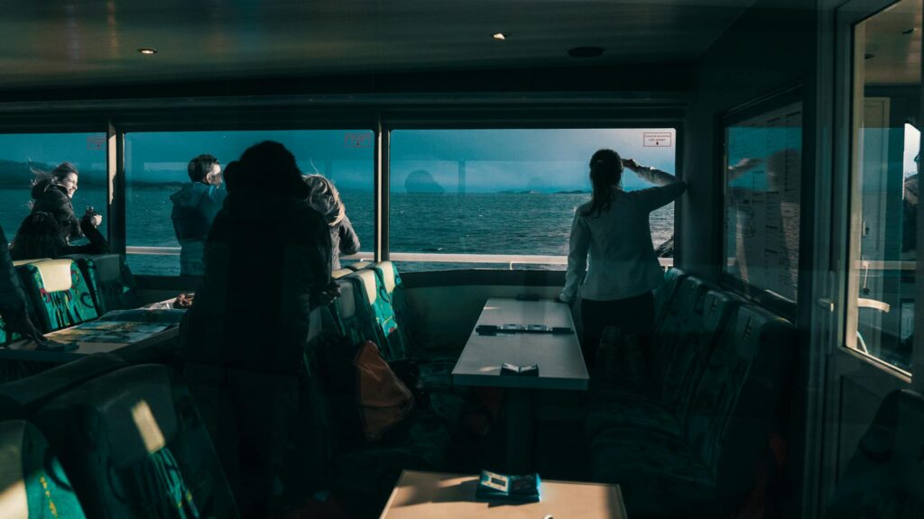 Observation Baleines Croisière : Guide Complet des Meilleures Destinations 2026