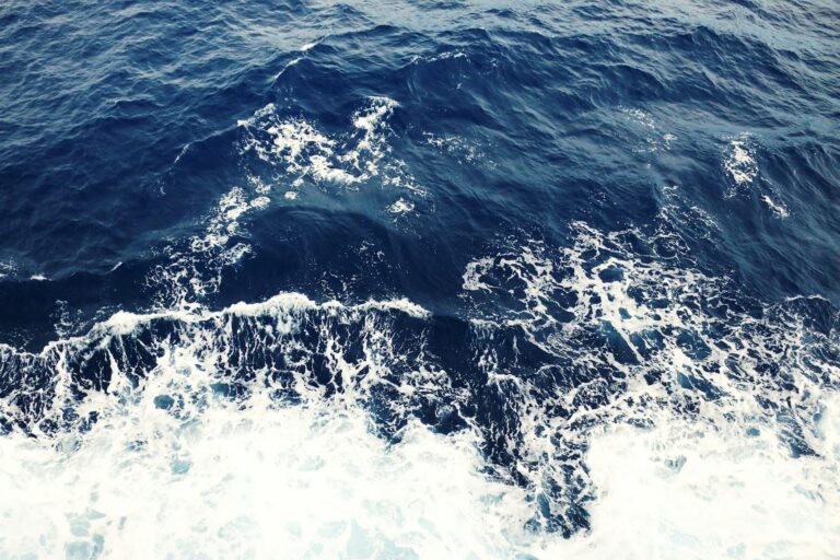 Wonder of the Seas : Le Plus Grand Navire de Croisière du Monde