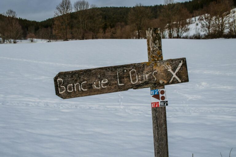 Divertissements à Bord : Que Faire les Jours en Mer ?