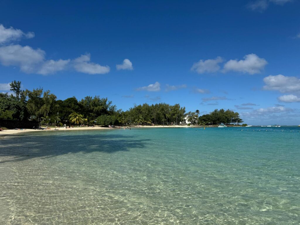 Le Plus Grand Port de Plaisance du Monde : Classements et Records