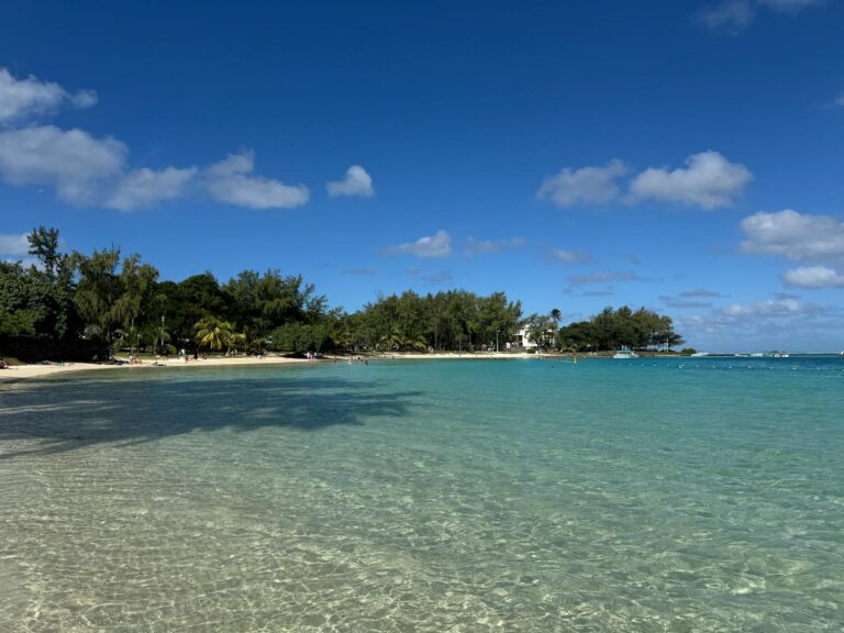 Le Plus Grand Port de Plaisance du Monde : Classements et Records